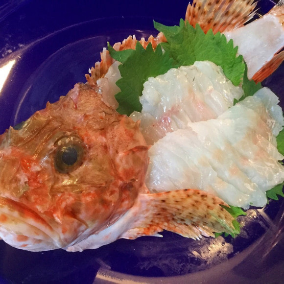 オニオコゼの生態と特徴 | 毒針の怖さ、旬の時期・価格や相場をご紹介! - 食note